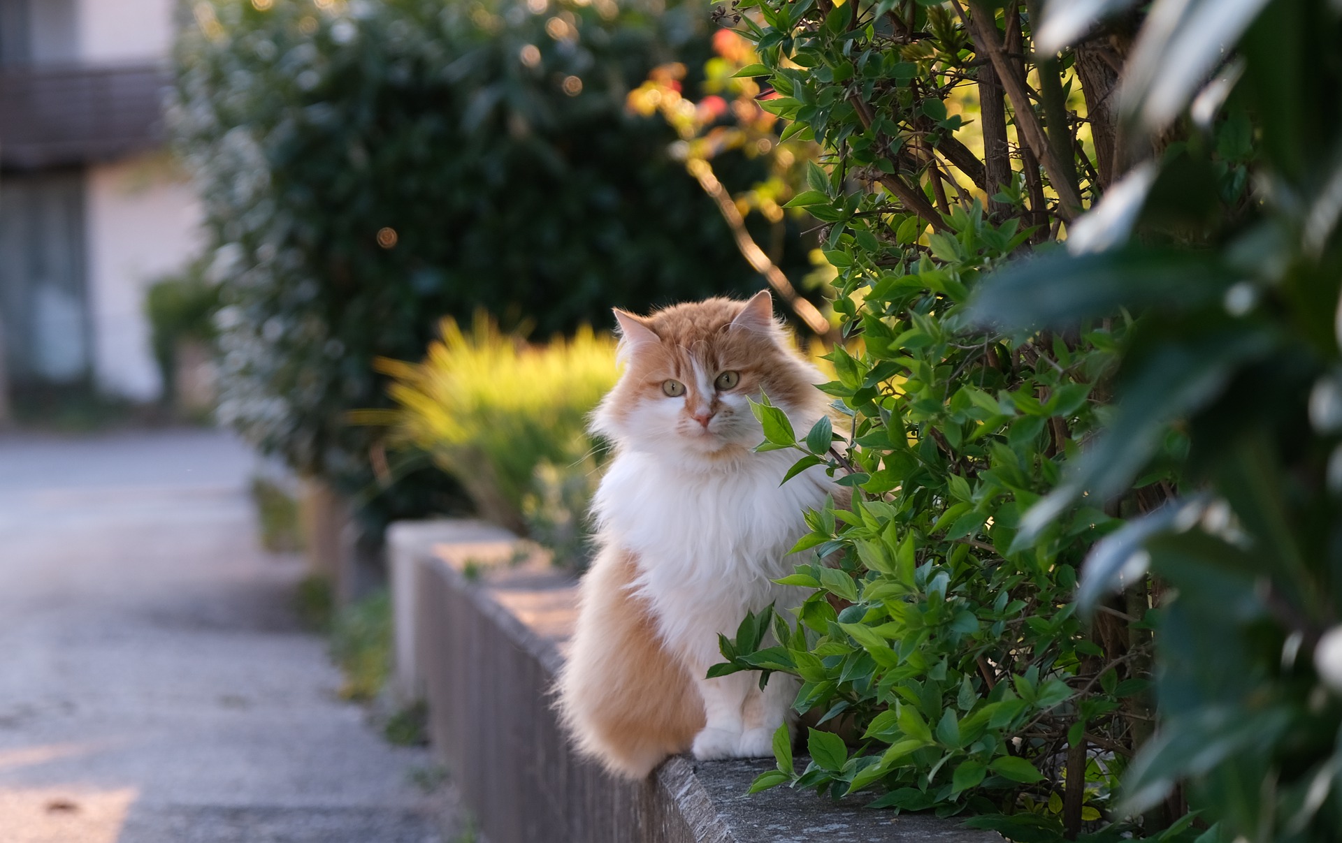 A caring veterinary team you can trust.